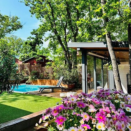 Pine-Wood Resort บาลาโตนัลมาดี ภายนอก รูปภาพ